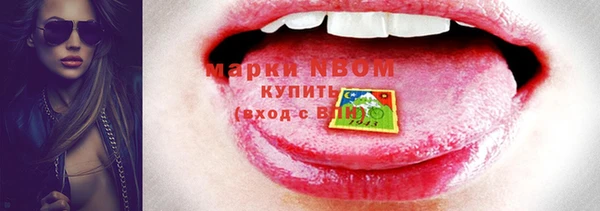 шишки Баксан