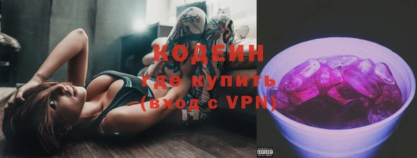шишки Баксан