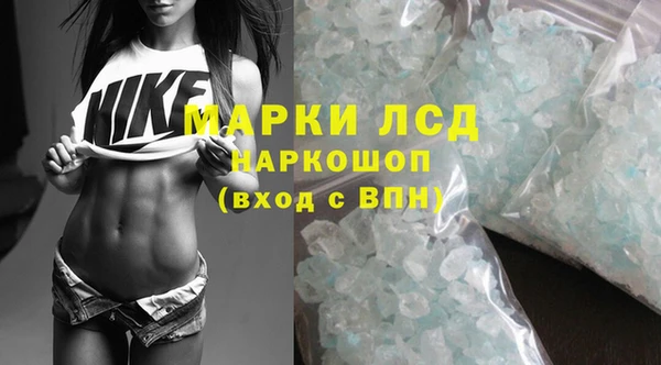 шишки Баксан