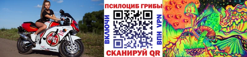 Галлюциногенные грибы Psilocybine cubensis  МЕГА сайт  Белая Калитва  купить наркотик 